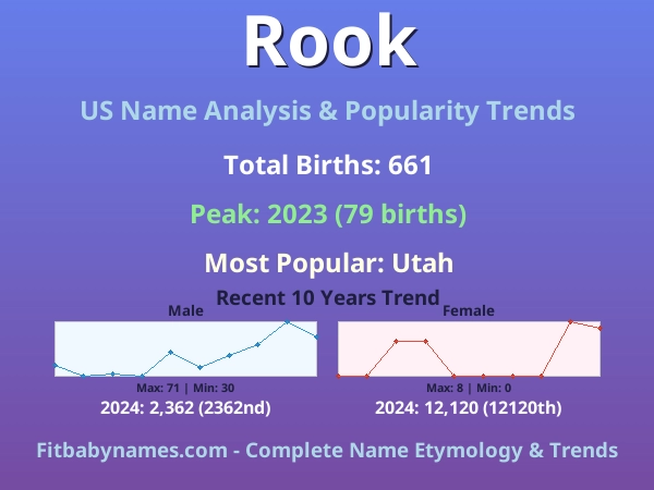Infographic: Rook name meaning, origin, and popularity trends in the United States (US baby name analysis chart)
