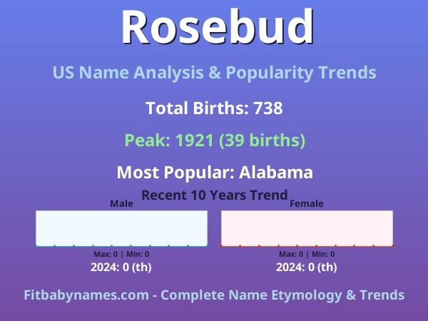 Infographic: Rosebud name meaning, origin, and popularity trends in the United States (US baby name analysis chart)