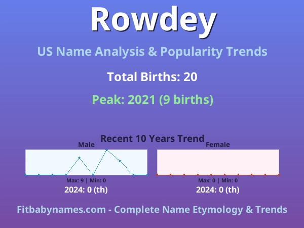 Infographic: Rowdey name meaning, origin, and popularity trends in the United States (US baby name analysis chart)