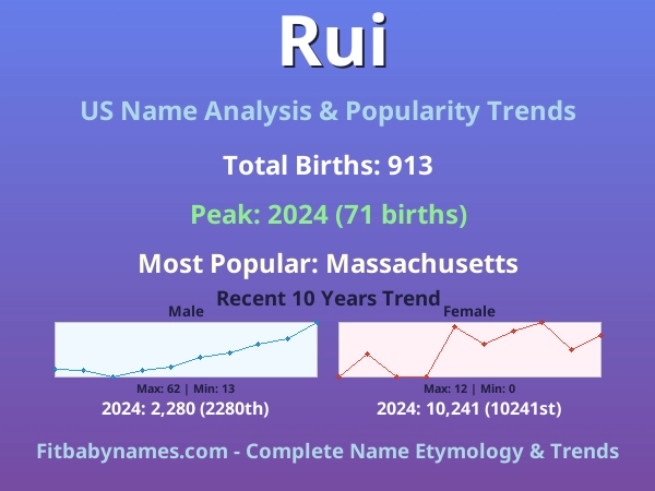 Infographic: Rui name meaning, origin, and popularity trends in the United States (US baby name analysis chart)