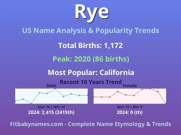 Infographic: Rye name meaning, origin, and popularity trends in the United States (US baby name analysis chart)