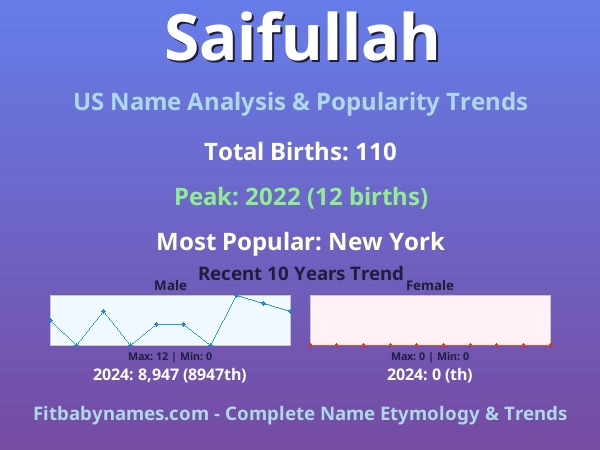 Infographic: Saifullah name meaning, origin, and popularity trends in the United States (US baby name analysis chart)