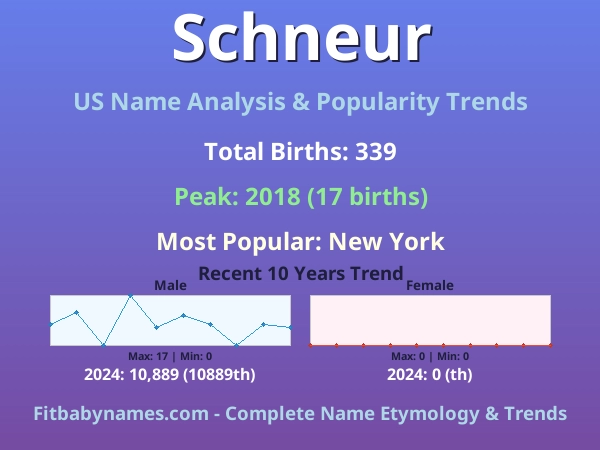 Infographic: Schneur name meaning, origin, and popularity trends in the United States (US baby name analysis chart)