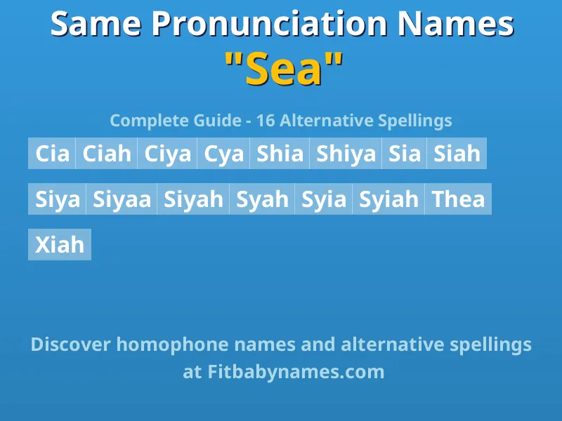 Infographic: Sea same pronunciation names, similar names, and homophone names