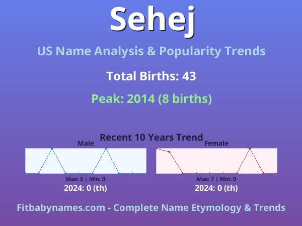 Infographic: Sehej name meaning, origin, and popularity trends in the United States (US baby name analysis chart)