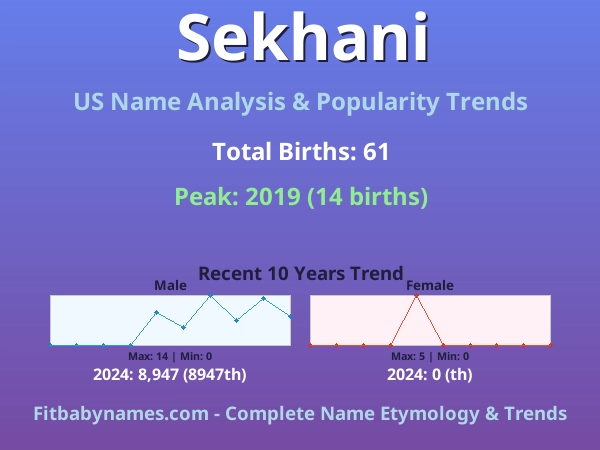 Infographic: Sekhani name meaning, origin, and popularity trends in the United States (US baby name analysis chart)