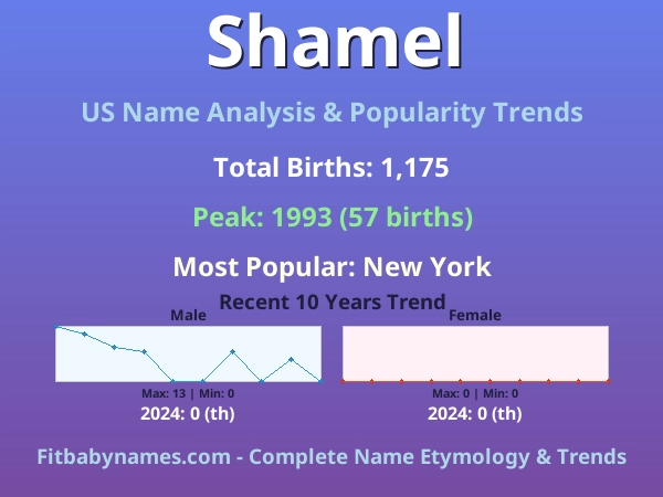 Infographic: Shamel name meaning, origin, and popularity trends in the United States (US baby name analysis chart)