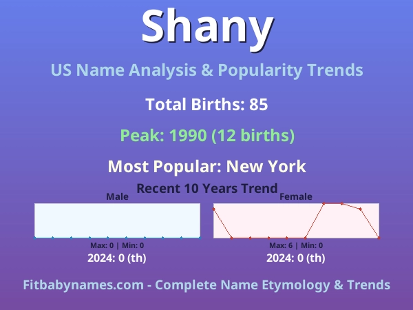 Infographic: Shany name meaning, origin, and popularity trends in the United States (US baby name analysis chart)