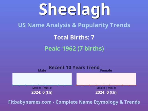 Infographic: Sheelagh name meaning, origin, and popularity trends in the United States (US baby name analysis chart)