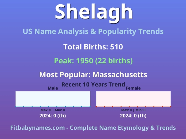 Infographic: Shelagh name meaning, origin, and popularity trends in the United States (US baby name analysis chart)