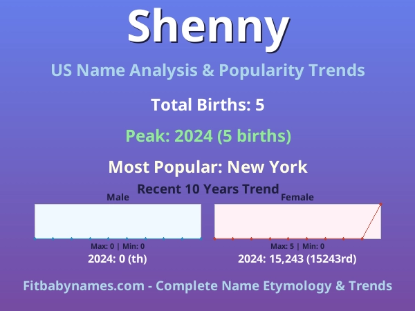 Infographic: Shenny name meaning, origin, and popularity trends in the United States (US baby name analysis chart)