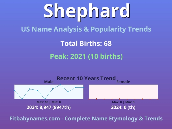 Infographic: Shephard name meaning, origin, and popularity trends in the United States (US baby name analysis chart)
