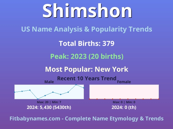 Infographic: Shimshon name meaning, origin, and popularity trends in the United States (US baby name analysis chart)