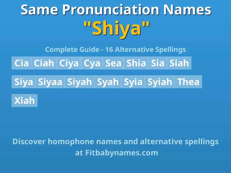 Infographic: Shiya same pronunciation names, similar names, and homophone names
