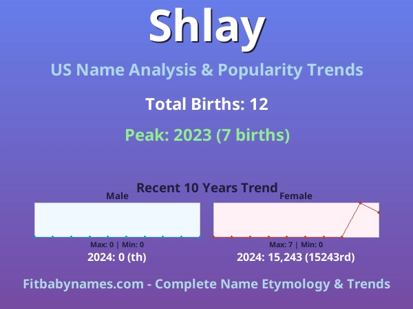 Infographic: Shlay name meaning, origin, and popularity trends in the United States (US baby name analysis chart)