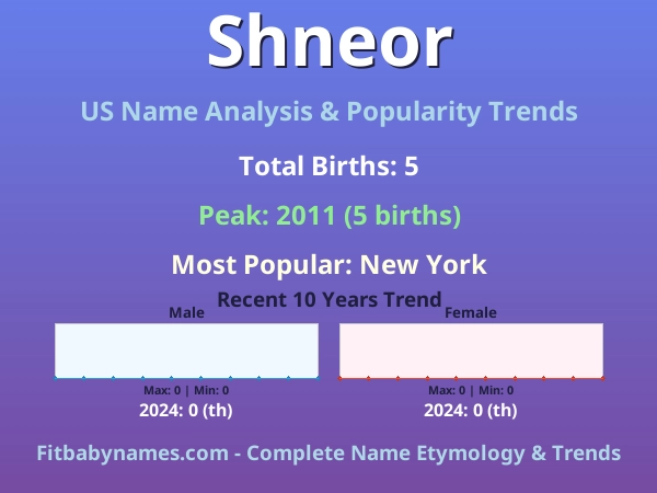 Infographic: Shneor name meaning, origin, and popularity trends in the United States (US baby name analysis chart)