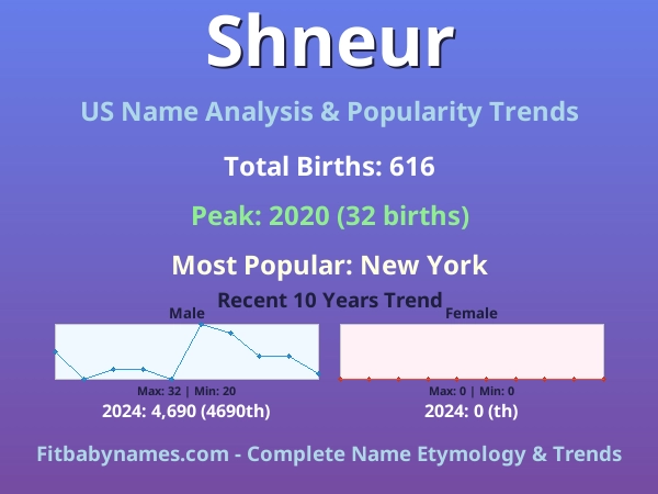 Infographic: Shneur name meaning, origin, and popularity trends in the United States (US baby name analysis chart)