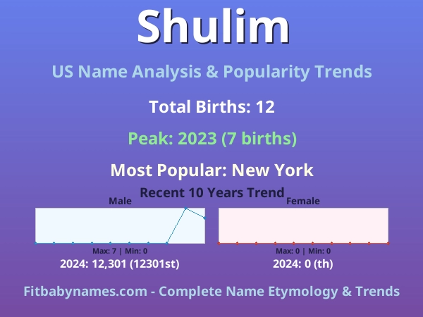 Infographic: Shulim name meaning, origin, and popularity trends in the United States (US baby name analysis chart)