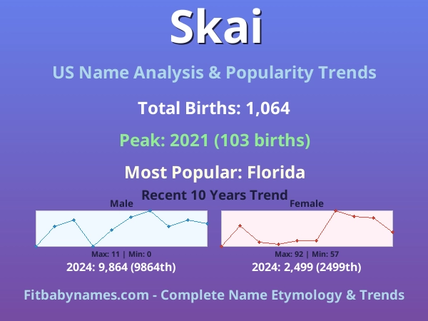 Infographic: Skai name meaning, origin, and popularity trends in the United States (US baby name analysis chart)