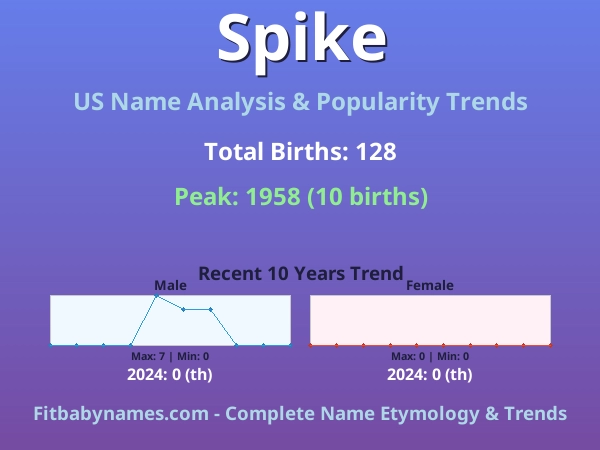 Infographic: Spike name meaning, origin, and popularity trends in the United States (US baby name analysis chart)