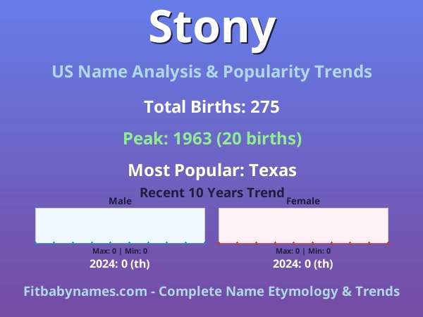 Infographic: Stony name meaning, origin, and popularity trends in the United States (US baby name analysis chart)