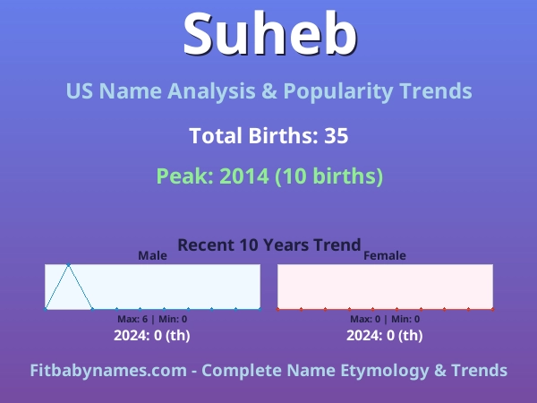 Infographic: Suheb name meaning, origin, and popularity trends in the United States (US baby name analysis chart)