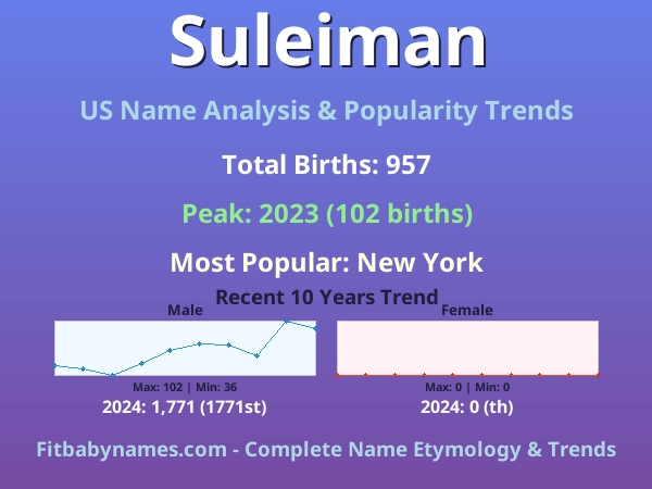 Infographic: Suleiman name meaning, origin, and popularity trends in the United States (US baby name analysis chart)