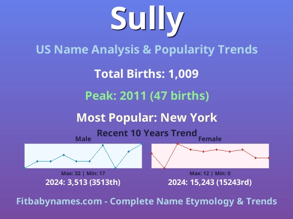 Infographic: Sully name meaning, origin, and popularity trends in the United States (US baby name analysis chart)