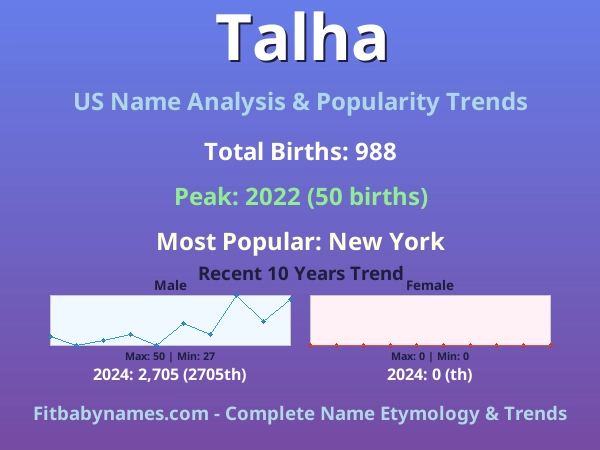 Infographic: Talha name meaning, origin, and popularity trends in the United States (US baby name analysis chart)