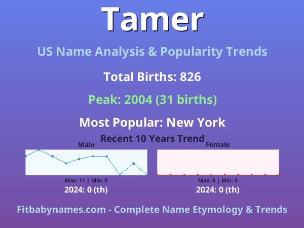 Infographic: Tamer name meaning, origin, and popularity trends in the United States (US baby name analysis chart)