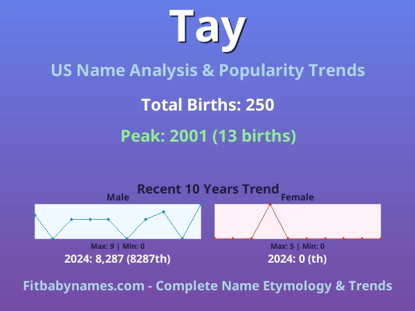 Infographic: Tay name meaning, origin, and popularity trends in the United States (US baby name analysis chart)