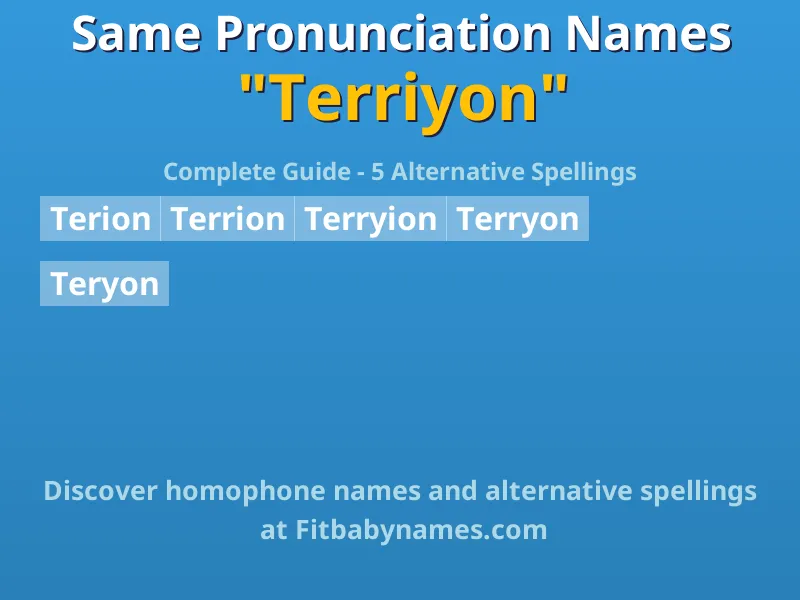 Infographic: Terriyon same pronunciation names, similar names, and homophone names