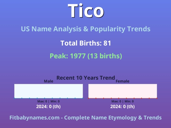 Infographic: Tico name meaning, origin, and popularity trends in the United States (US baby name analysis chart)