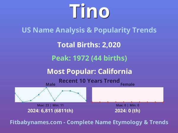 Infographic: Tino name meaning, origin, and popularity trends in the United States (US baby name analysis chart)