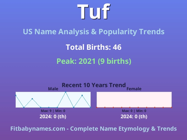 Infographic: Tuf name meaning, origin, and popularity trends in the United States (US baby name analysis chart)