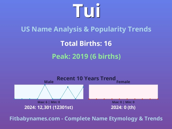 Infographic: Tui name meaning, origin, and popularity trends in the United States (US baby name analysis chart)