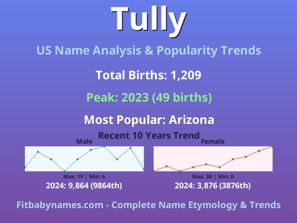 Infographic: Tully name meaning, origin, and popularity trends in the United States (US baby name analysis chart)