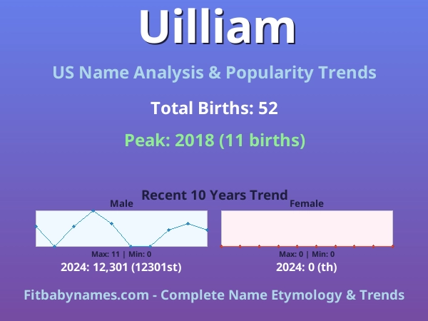 Infographic: Uilliam name meaning, origin, and popularity trends in the United States (US baby name analysis chart)