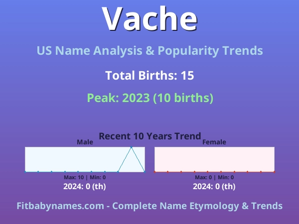 Infographic: Vache name meaning, origin, and popularity trends in the United States (US baby name analysis chart)