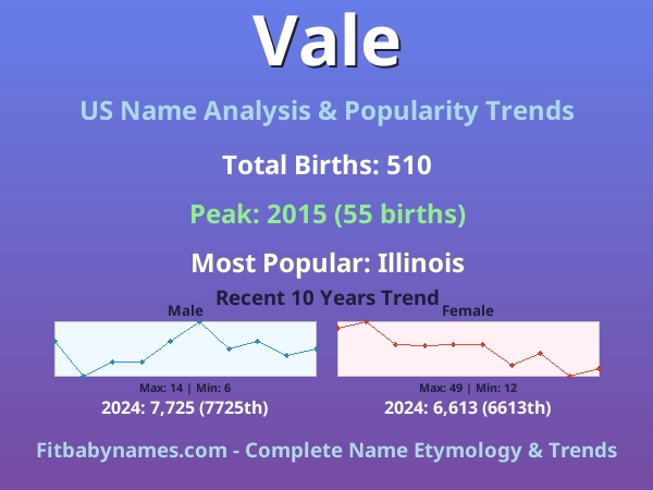 Infographic: Vale name meaning, origin, and popularity trends in the United States (US baby name analysis chart)