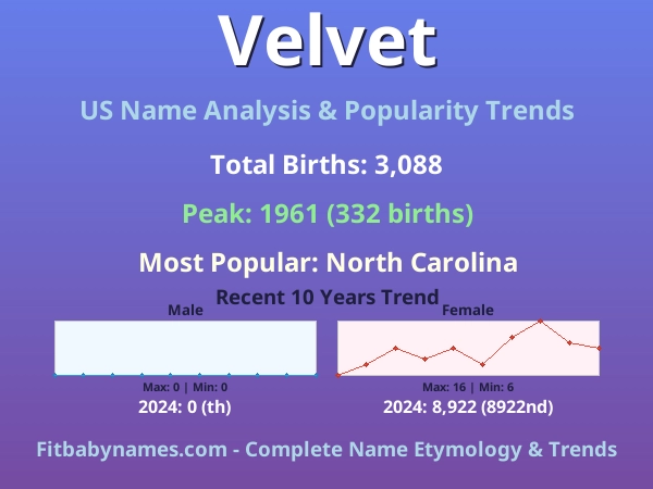 Infographic: Velvet name meaning, origin, and popularity trends in the United States (US baby name analysis chart)