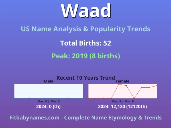 Infographic: Waad name meaning, origin, and popularity trends in the United States (US baby name analysis chart)