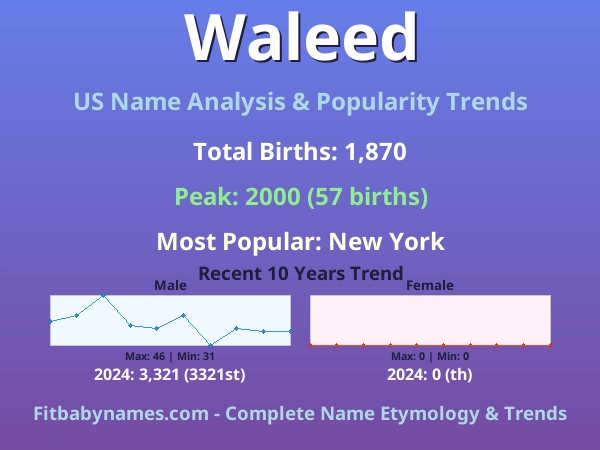 Infographic: Waleed name meaning, origin, and popularity trends in the United States (US baby name analysis chart)