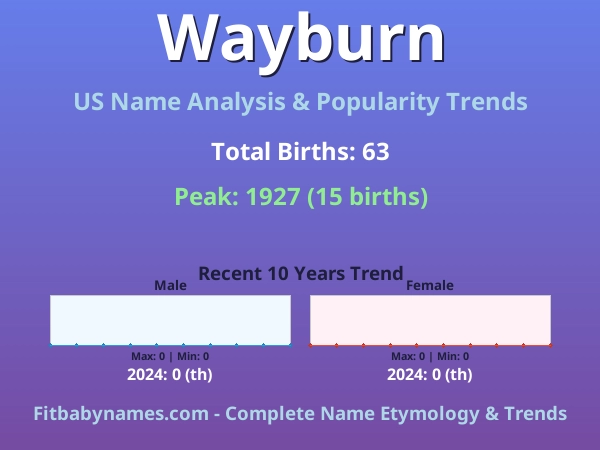 Infographic: Wayburn name meaning, origin, and popularity trends in the United States (US baby name analysis chart)