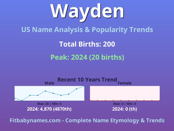 Infographic: Wayden name meaning, origin, and popularity trends in the United States (US baby name analysis chart)
