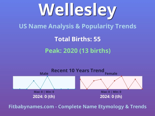 Infographic: Wellesley name meaning, origin, and popularity trends in the United States (US baby name analysis chart)