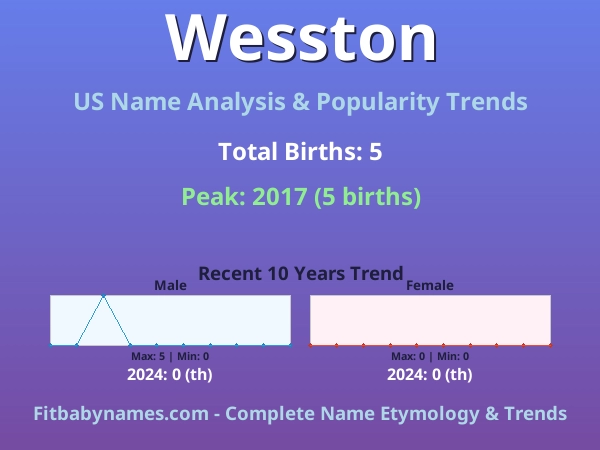 Infographic: Wesston name meaning, origin, and popularity trends in the United States (US baby name analysis chart)