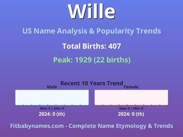 Infographic: Wille name meaning, origin, and popularity trends in the United States (US baby name analysis chart)