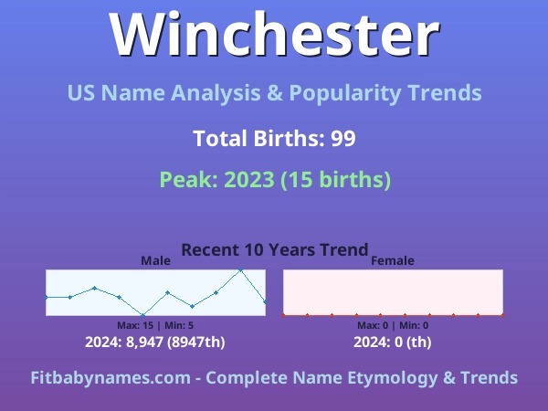 Infographic: Winchester name meaning, origin, and popularity trends in the United States (US baby name analysis chart)