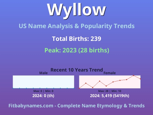 Infographic: Wyllow name meaning, origin, and popularity trends in the United States (US baby name analysis chart)
